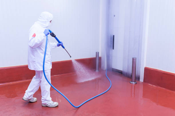 Best Building Exterior Washing  in San Antonio, FL