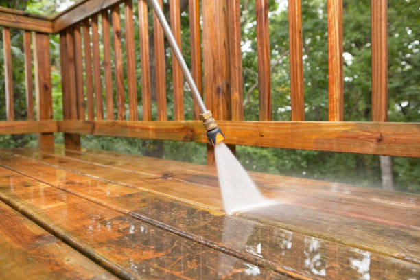 Animal Enclosure Cleaning in San Antonio, FL